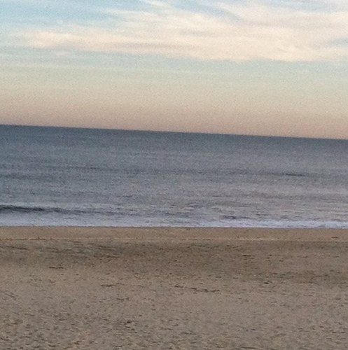 Jersey born and raised, CBA grad, Loyola greyhound,