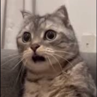 ratm7384's profile picture. エスポファン！！　　野球部