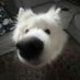 drim drim (@drimdrim558868) Twitter profile photo drim drim (@drimdrim558868) Twitter profile photo
