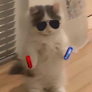 IcJ523's profile picture. Full HD/AD/HD
/zz gettin cold, get out while still ca./