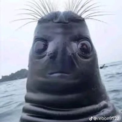 lohmus19's profile picture. 