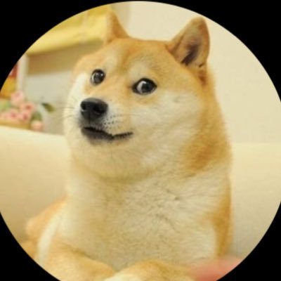 我提供批量 kyc 账户。任何 KYC 工作的 DM。我批量供应。这是我的处理方式: #Telegram @KycZahir5 Wechat: ZGQ558844