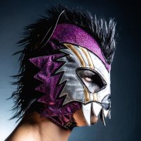 Kid Lykos II (@kidlykosii) 's Twitter Profile Photo Kid Lykos II (@kidlykosii) 's Twitter Profile Photo