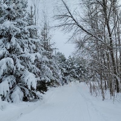 DarrellEngen's profile picture. 