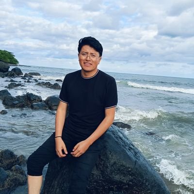 JAlexisTH1's profile picture. Desarrollador Web
Javascript 🔥| Python 🐍