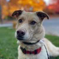 Patrick Tash (@patricketash) 's Twitter Profile
