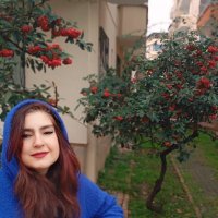 Seçil Sezen #ClimateActionEdu (@seilsezen1) 's Twitter Profile