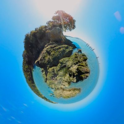 sieidis's profile picture. full spat