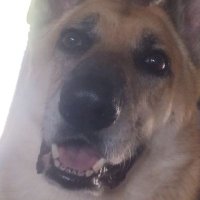 Random Hermit (@hermit_wis88627) 's Twitter Profile Photo