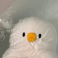 mmo__mo15 (@mo__suphatta) 's Twitter Profile