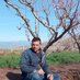 Omran Melh (@omran_melh) Twitter profile photo Omran Melh (@omran_melh) Twitter profile photo