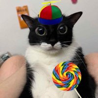 Asura Geedorah (@mf_asura) 's Twitter Profile Photo