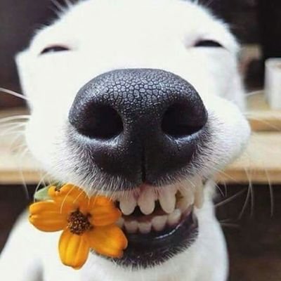 nicolas7974's profile picture. 