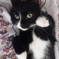 Christina W (@alwayswright73) 's Twitter Profile