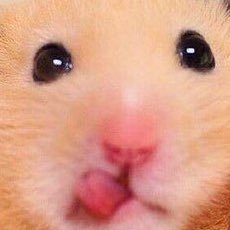 1818_999's profile picture. 갓생사는중