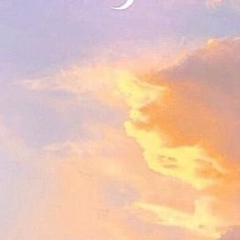 alcatraZ3841's profile picture. 