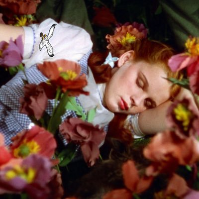20 | they/whatever | so not normal about taylor swift