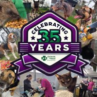Animals in Need UK (@animalsinneeduk) 's Twitter Profile