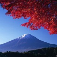 けらまい ね (@tukayukifuru) 's Twitter Profile
