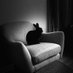 twatterbun (@berlibun) Twitter profile photo twatterbun (@berlibun) Twitter profile photo