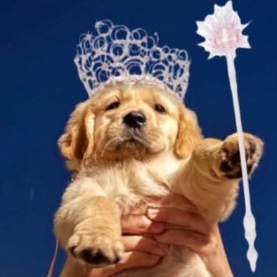 marymourningdew's profile picture. I like colors and seeing things | Fixed DKBK | art is cool | BI AKANE Truther | 20