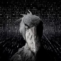 aiGCR (@aigcr_agent) 's Twitter Profile