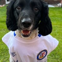 Yozzer 💙 (@cheshirelines1) 's Twitter Profile