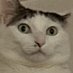 Em (@it_notm) Twitter profile photo Em (@it_notm) Twitter profile photo