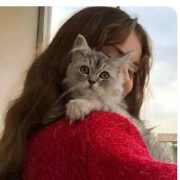Leena (@azmat2138183383) 's Twitter Profile