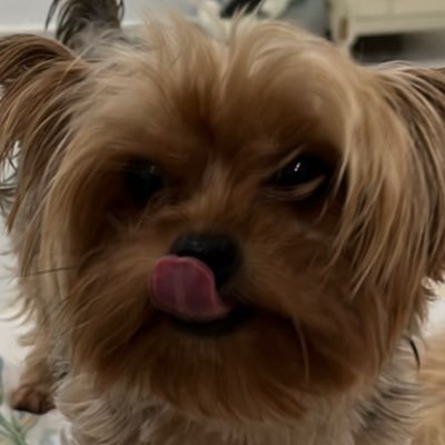 ccitwt's profile picture. 