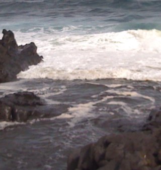 ESchainker's profile picture. 