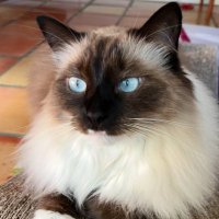Zara/NPR (@npr57744730) 's Twitter Profile