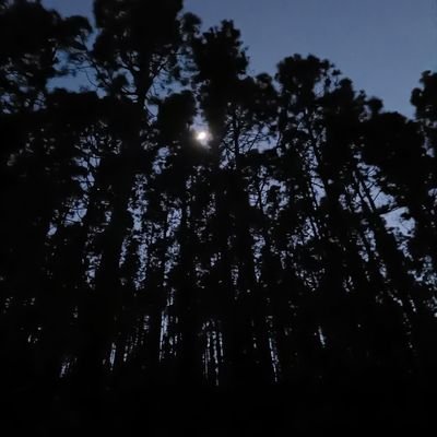 tangal653059's profile picture. brgh. tth .