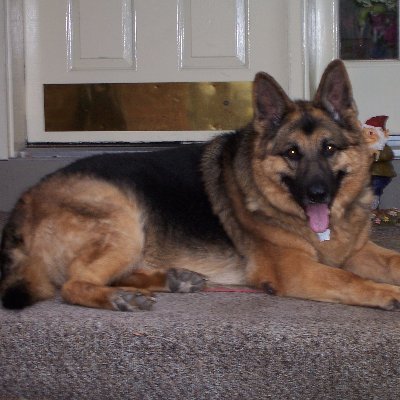 JeffMunisteri's profile picture. I have "PTSD" Pretty Tired of STUPID DEMORATS,
I have NO TOLERANCE for HATE Speech, there IS a DIFFERENCE between FREE and HATE Speech 
I AM CHARLIE KIRK