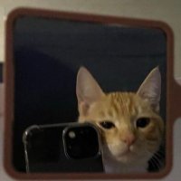 Mathi (@matheesus) 's Twitter Profile