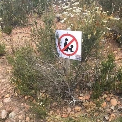 AliAJ17o's profile picture. 