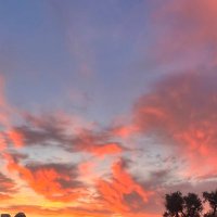 PH (@paulhai36076036) 's Twitter Profile Photo