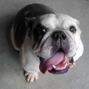 Michael Lark - @mdlark - Twitter