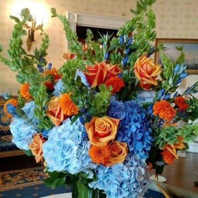 javaher24286913's profile picture. 