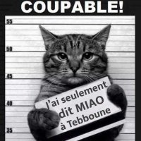 Hanane Rebelle (@hanane80951160) 's Twitter Profile Photo