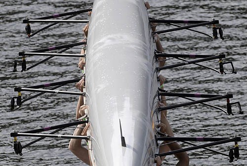 whyirow's profile picture. Some of the colorful reasons I continue to put myself through the brutal and disgusting sport of rowing.