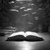 Ecos de Libros (@robqotes) Twitter profile photo Ecos de Libros (@robqotes) Twitter profile photo