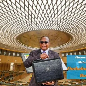 Hon Prof Mthuli Ncube Profile