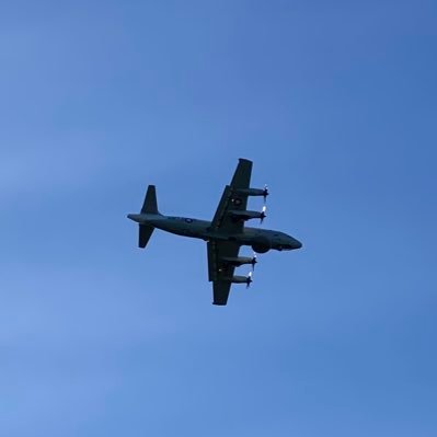 Leonotisaries's profile picture. 