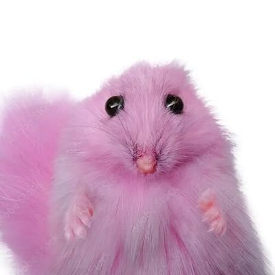 Nicanogotochci's profile picture. I only live by memes with cats,kittens.