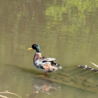 たま (@f3gurljkp2ipzgc) 's Twitter Profile Photo