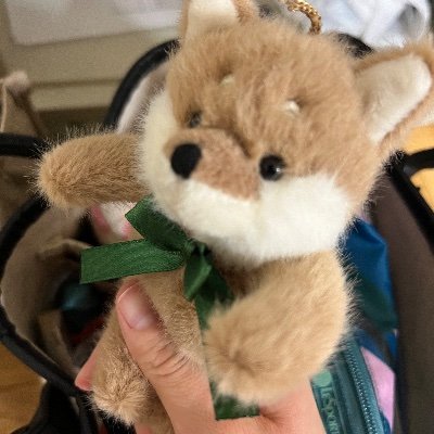 nyasnyas_nyas's profile picture. たぬきの魔女
骨ストイエベ春フレッシュ