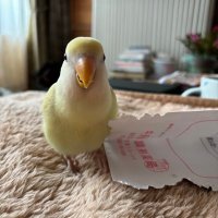 Mikako Takahashi🌈 (@generics2009) 's Twitter Profile