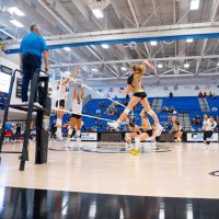 Riley Rosneck (@rileyrosneck) 's Twitter Profile