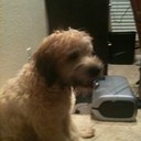 andrea pierce - @costa259 - Twitter